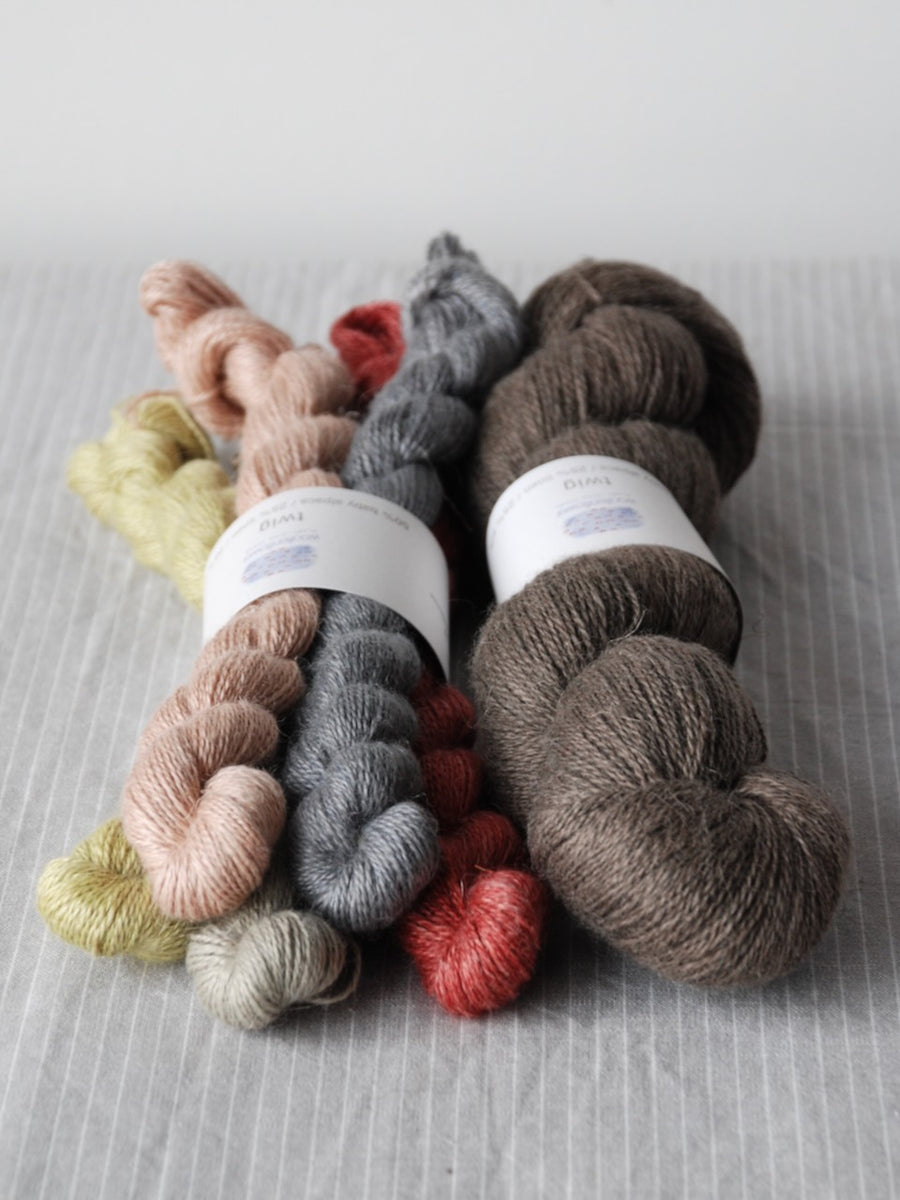 Common Blue Shawl bundle