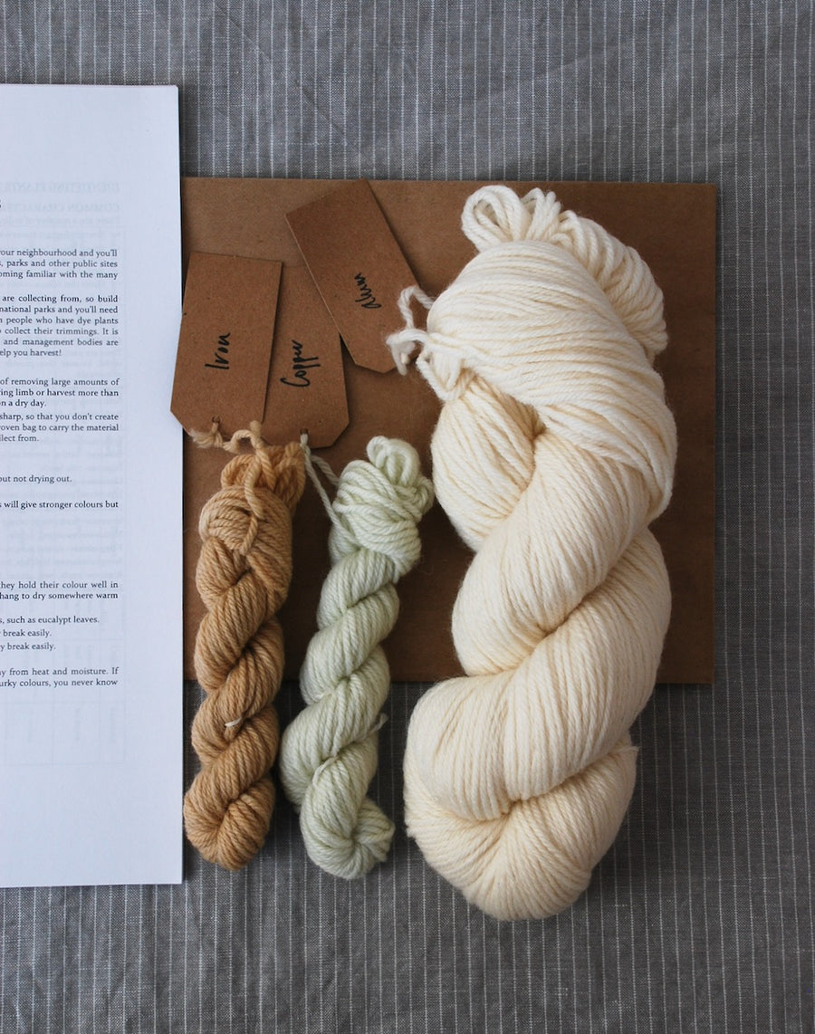 Plant-dyer's yarn kit