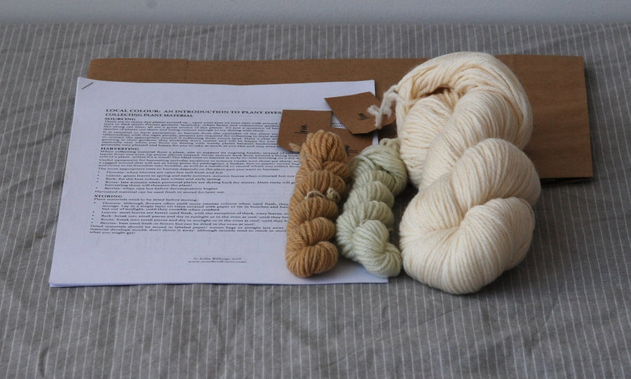Plant-dyer's yarn kit