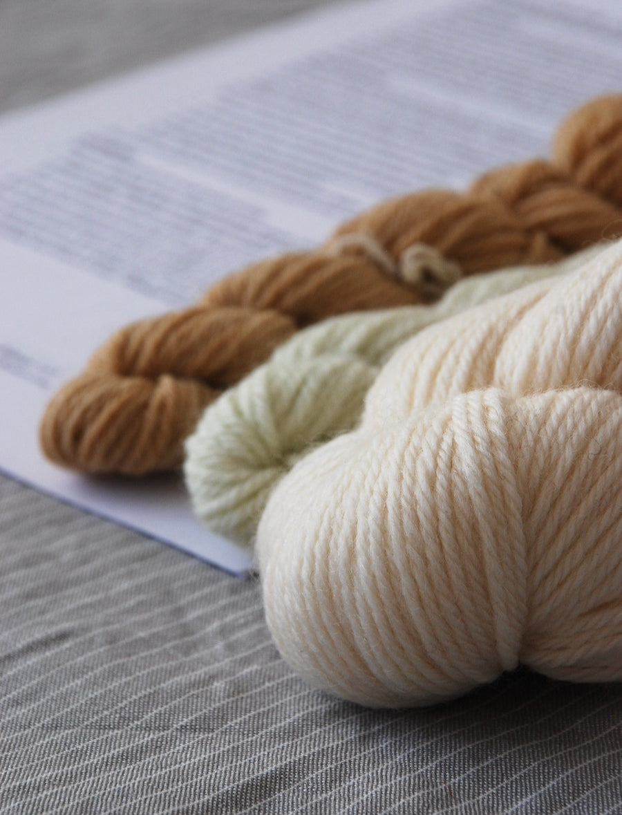 Plant-dyer's yarn kit