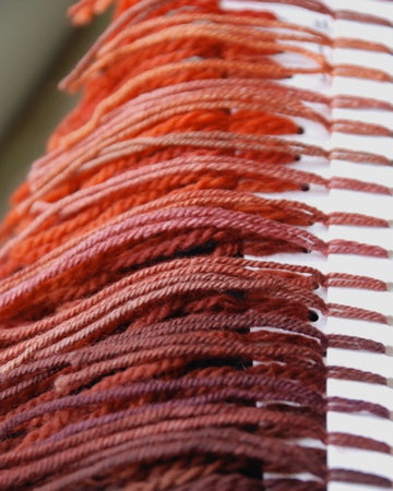 25 shades from one dyebath