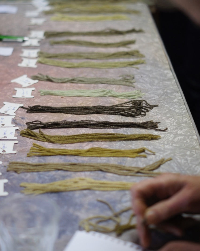 Individualized tuition in natural dyes